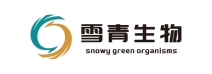 logo_画板 1 副本 29